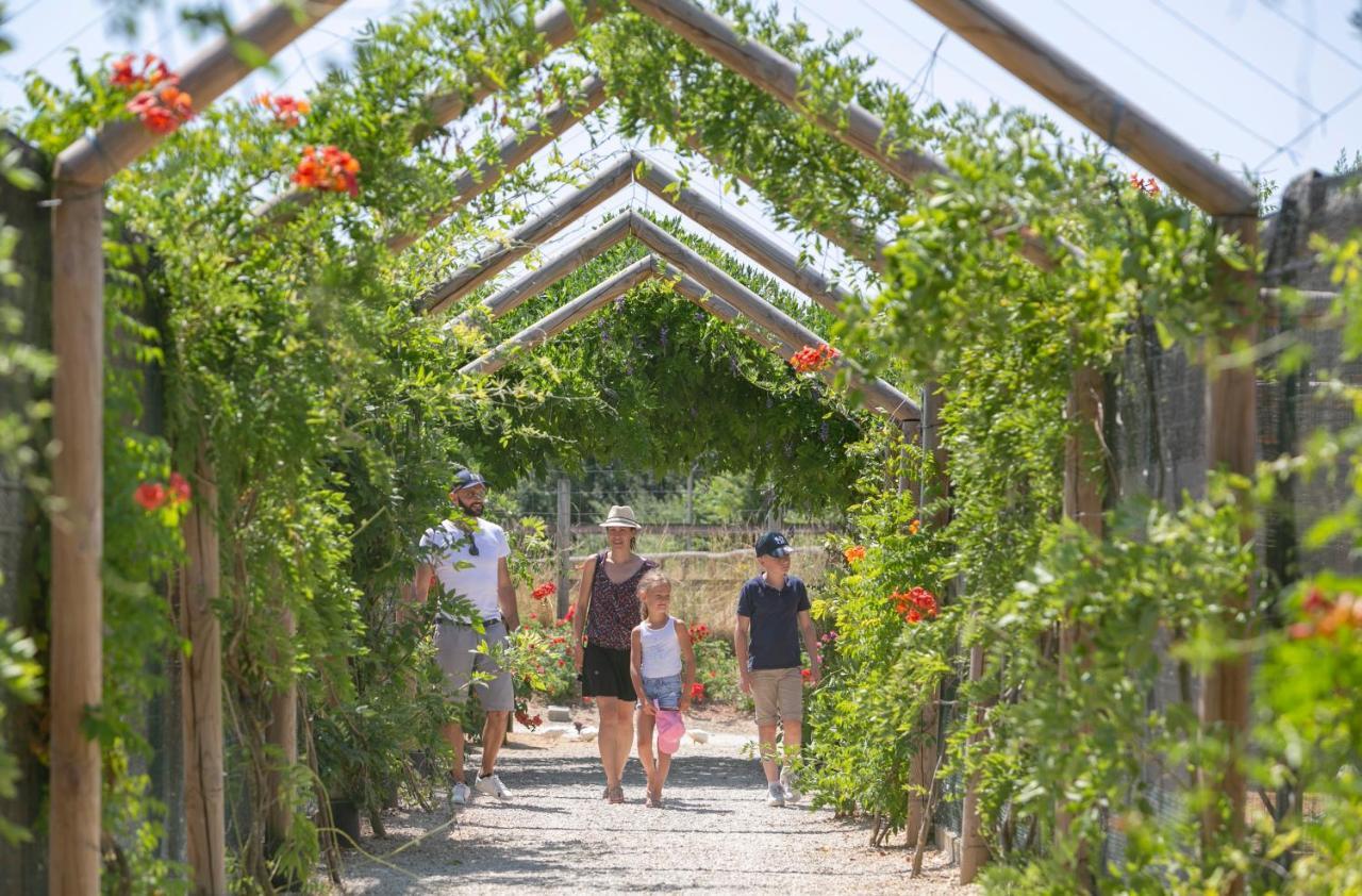Village Vacances - Defiplanet' Dienne  Ngoại thất bức ảnh